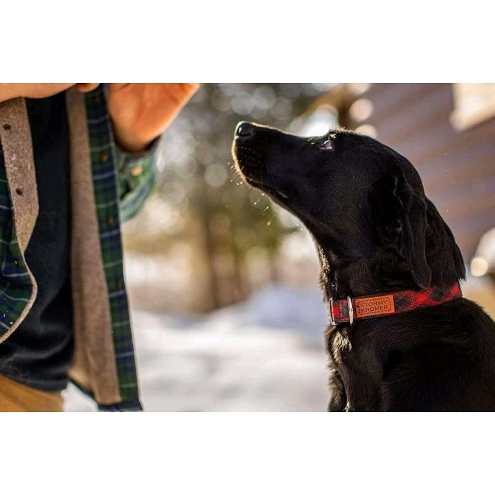Stormy Kromer Dog Collar Large (16"-28") & 6' Leash Red & Black Nylon $65 - NEW!